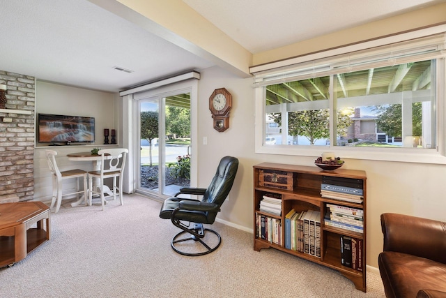 sitting room with carpet floors