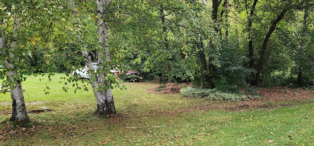 508 5th Ave, Littlefork, MN 56653 - view of yard featuring a wooded view