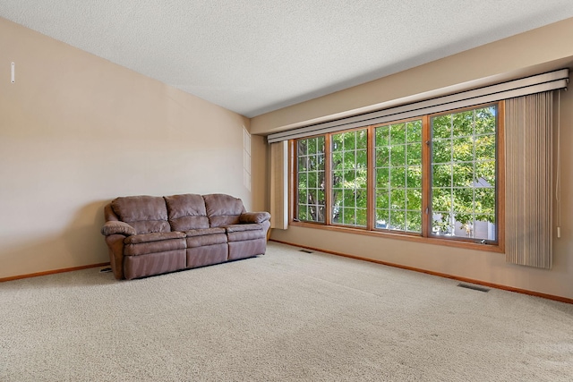 living room featuring a textured ceiling and carpet flooring