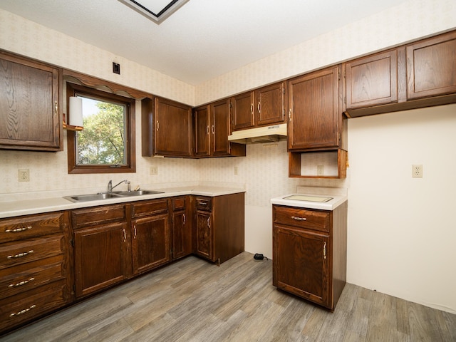 kitchen with light wood-type flooring and sink