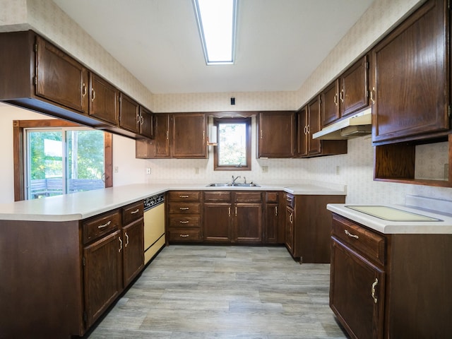 kitchen with dark brown cabinets, dishwasher, kitchen peninsula, and plenty of natural light