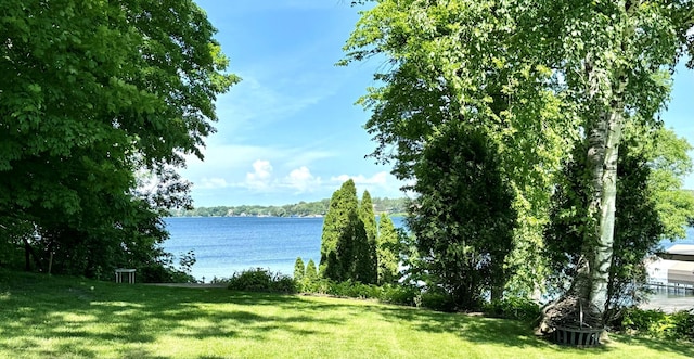 4650 Manitou Rd, Tonka Bay, MN 55331 - water view
