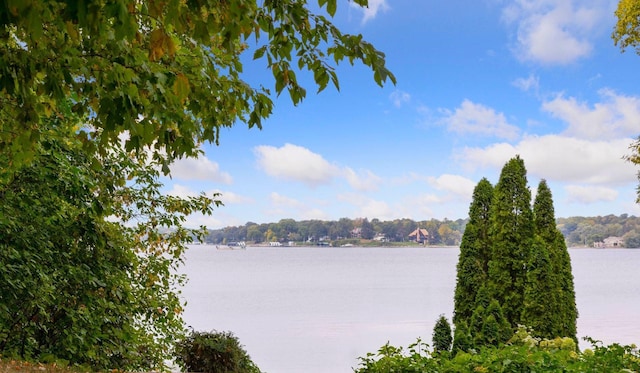 4650 Manitou Rd, Tonka Bay, MN 55331 - water view