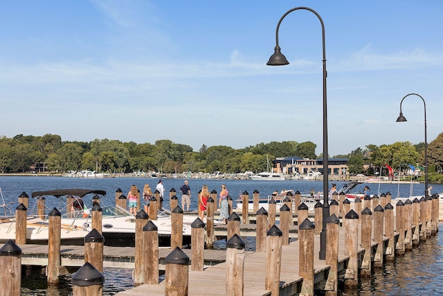 4650 Manitou Rd, Tonka Bay, MN 55331 - water view featuring a dock