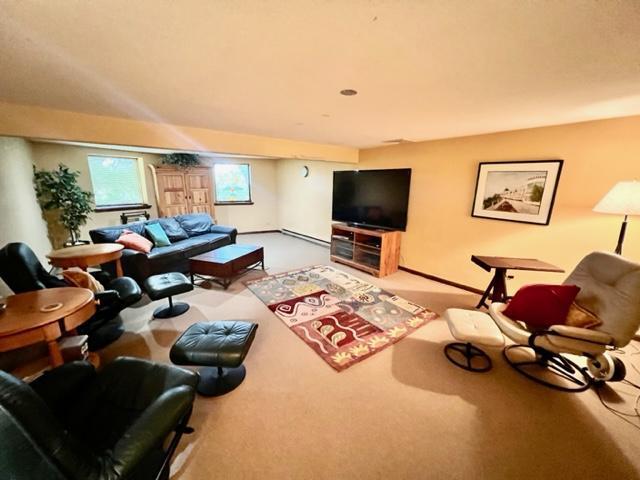 living room featuring carpet flooring