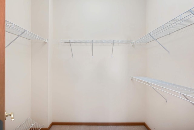 spacious closet with carpet