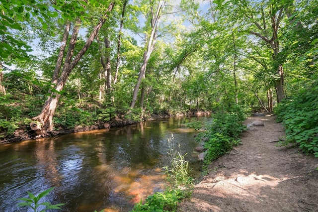 4837 11th Ave S, Minneapolis, MN 55417 - water view