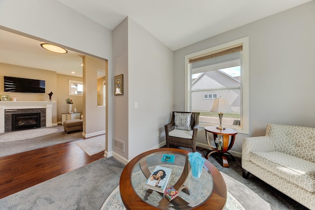 living area featuring a fireplace and hardwood / wood-style flooring