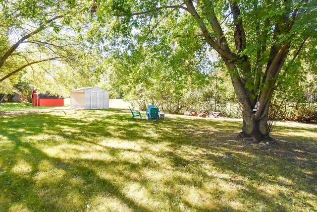 view of yard featuring a storage unit