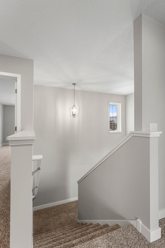 staircase featuring carpet