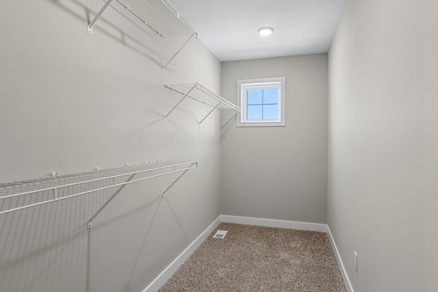 walk in closet with carpet flooring