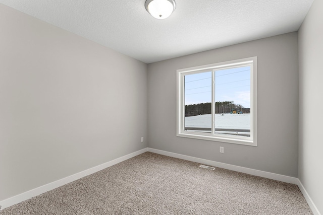 empty room featuring carpet flooring and a textured ceiling