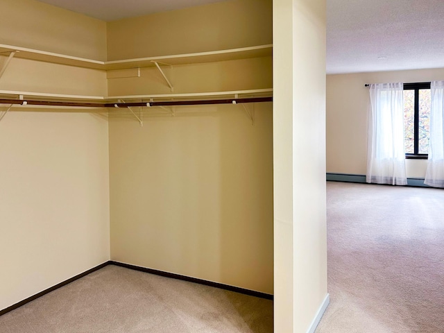 spacious closet featuring light colored carpet