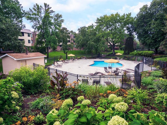 view of swimming pool with a patio