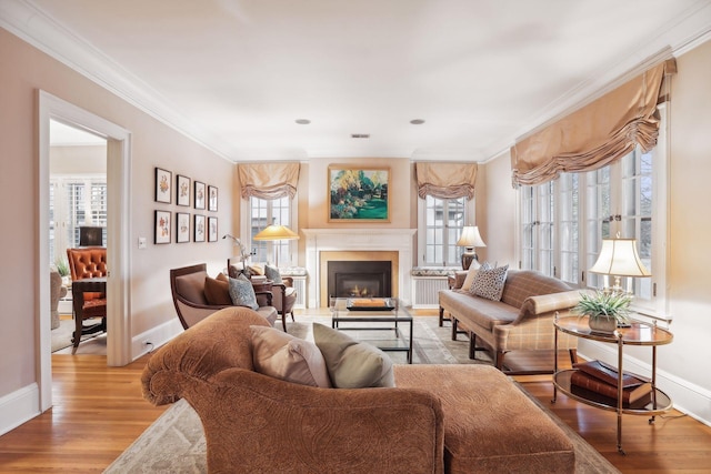 living room with ornamental molding and light wood-type flooring