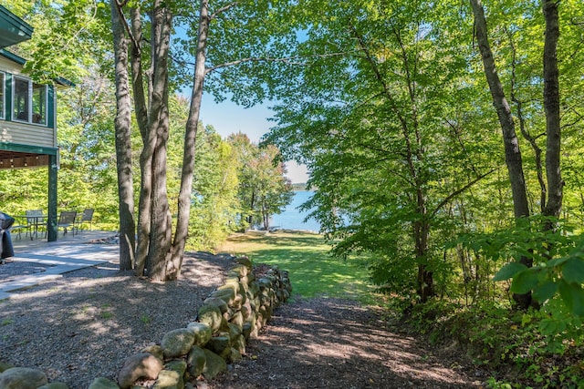 27734 Ridgewood Dr, Merrifield, MN 56465 - surrounding community featuring a patio