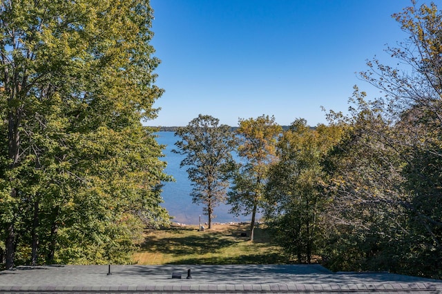 27734 Ridgewood Dr, Merrifield, MN 56465 - water view