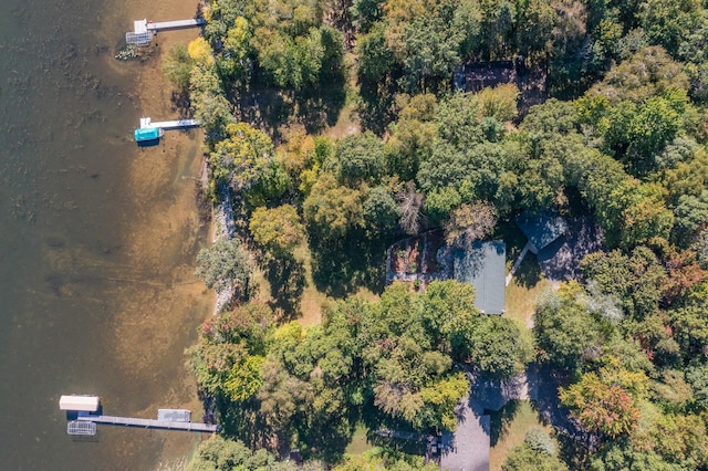 27734 Ridgewood Dr, Merrifield, MN 56465 - aerial view