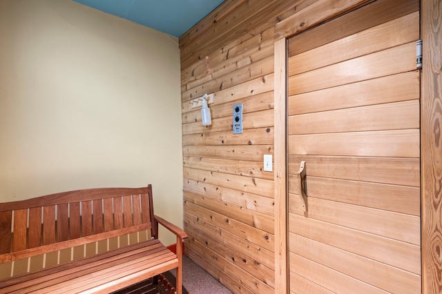 interior space featuring carpet floors and wooden walls