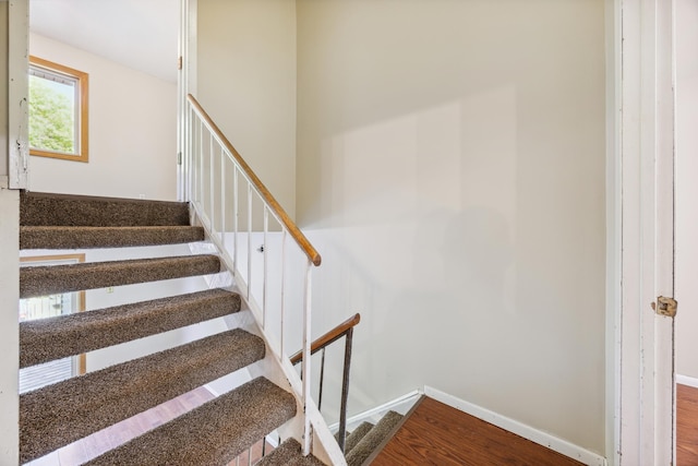 staircase featuring hardwood / wood-style flooring