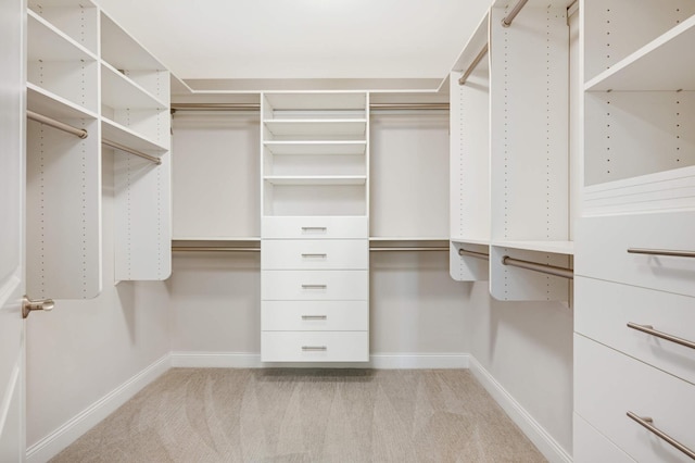 spacious closet featuring light carpet