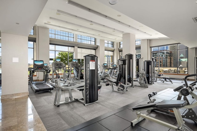 gym featuring a high ceiling