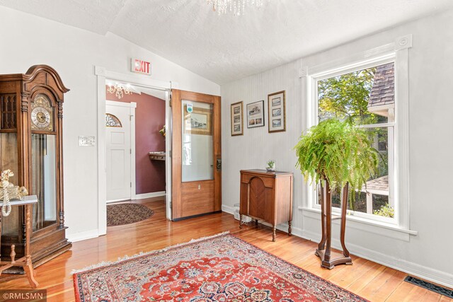 foyer entrance featuring vaulted ceiling, light hardwood / wood-style floors, and a healthy amount of sunlight