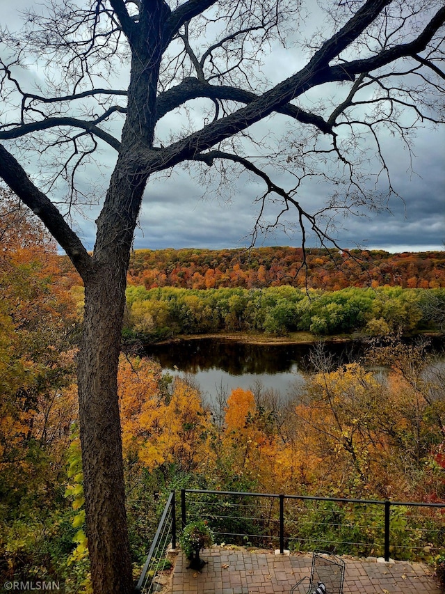 property view of water