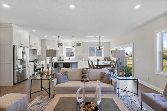 living room featuring a textured ceiling and wood-type flooring