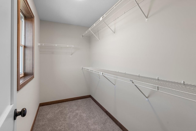 walk in closet featuring light carpet