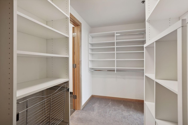 spacious closet featuring carpet floors