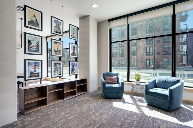 living area featuring carpet floors