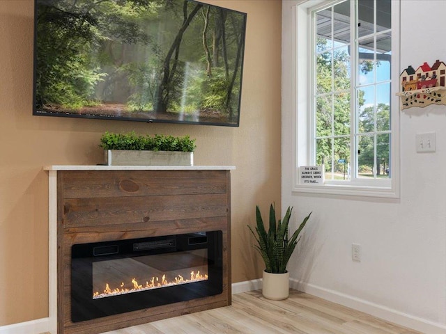 interior details featuring hardwood / wood-style floors