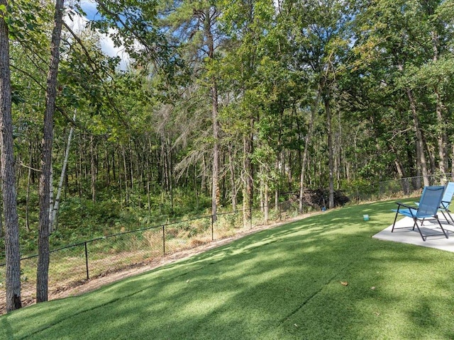 view of yard featuring a patio