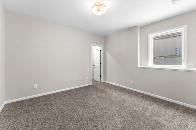 spare room with carpet floors