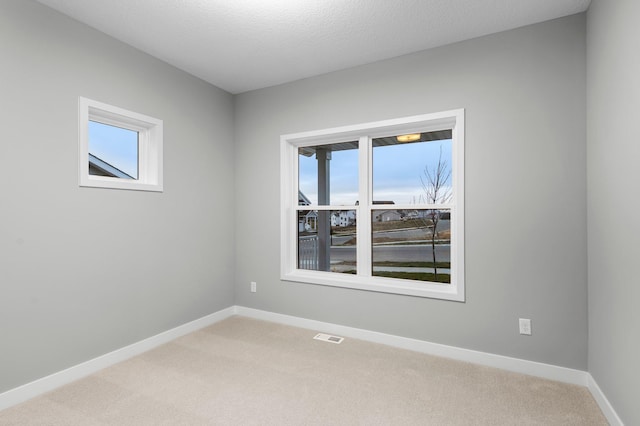 unfurnished room with light colored carpet and a textured ceiling