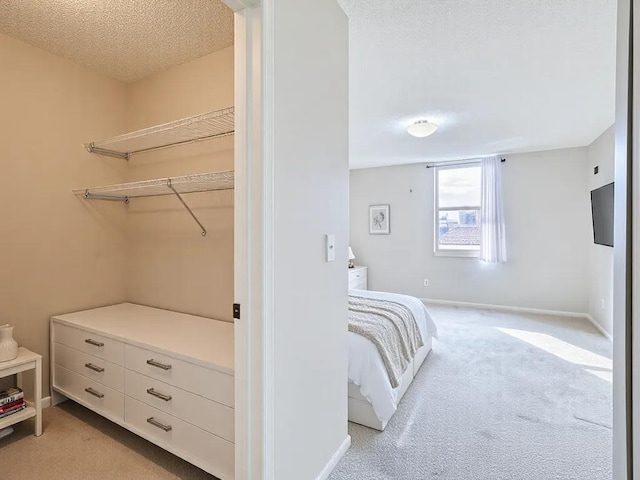 interior space with a textured ceiling, baseboards, and light colored carpet