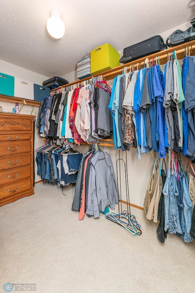 spacious closet featuring carpet floors