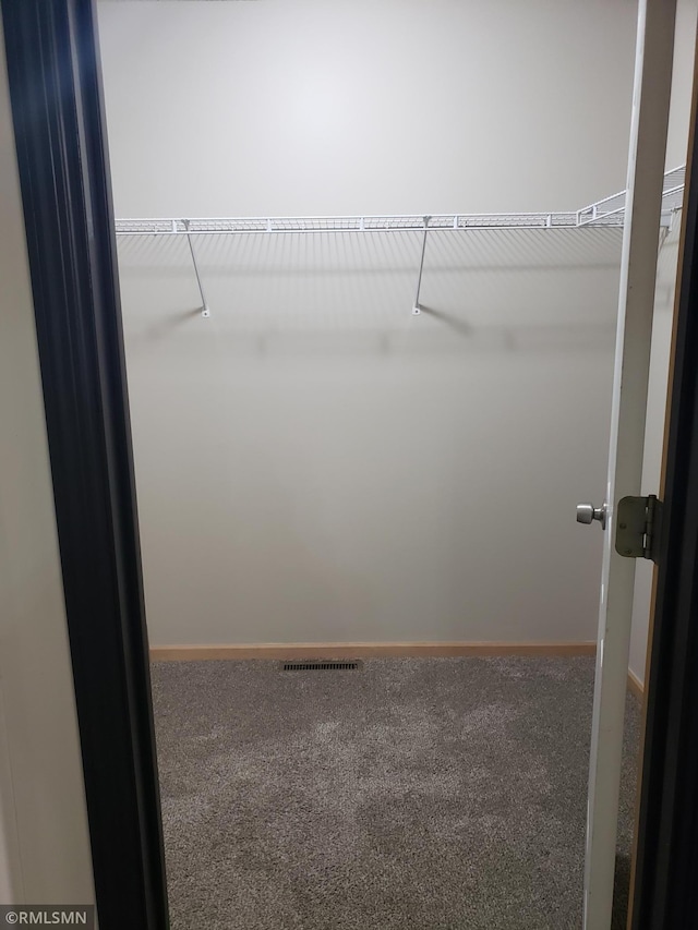 walk in closet with carpet flooring