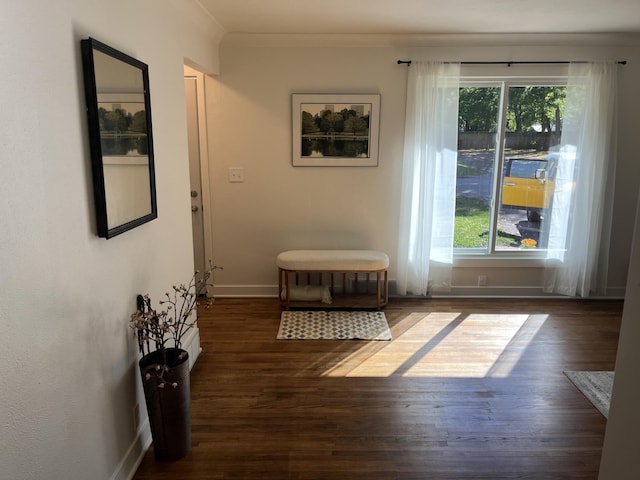 doorway with crown molding and dark hardwood / wood-style floors