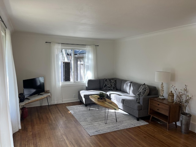 living room featuring dark hardwood / wood-style flooring