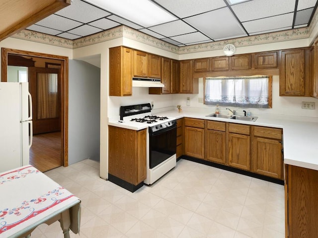 kitchen featuring sink, a wealth of natural light, range with gas cooktop, and white refrigerator