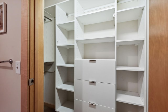 view of spacious closet