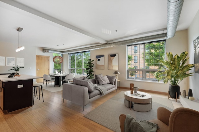 living room featuring light hardwood / wood-style floors and a healthy amount of sunlight