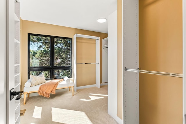 carpeted bedroom with a closet and multiple windows