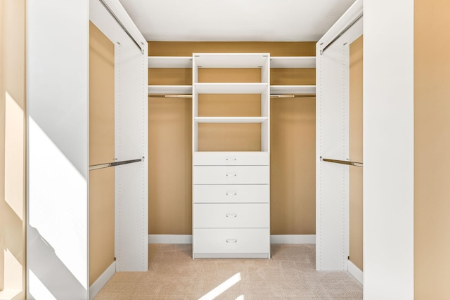 spacious closet with light carpet