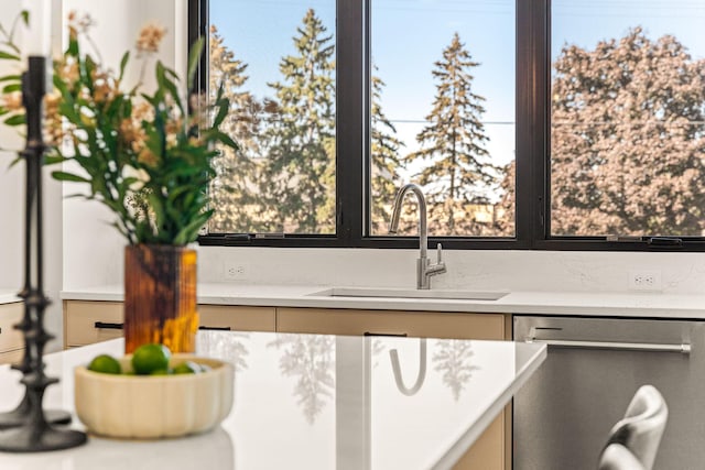 kitchen featuring dishwasher, light countertops, and a sink