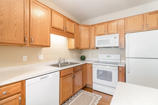 kitchen featuring light wood-type flooring, a textured ceiling, white appliances, and sink