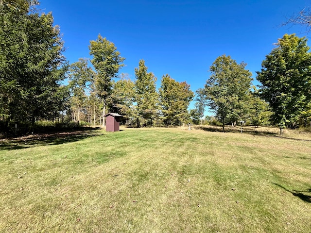 view of yard featuring a storage unit