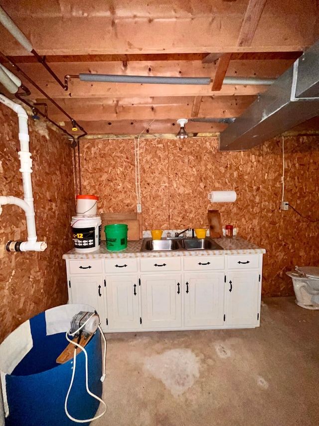 basement with sink